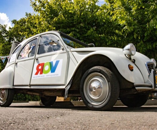 Eend op gezinsdag.jpg